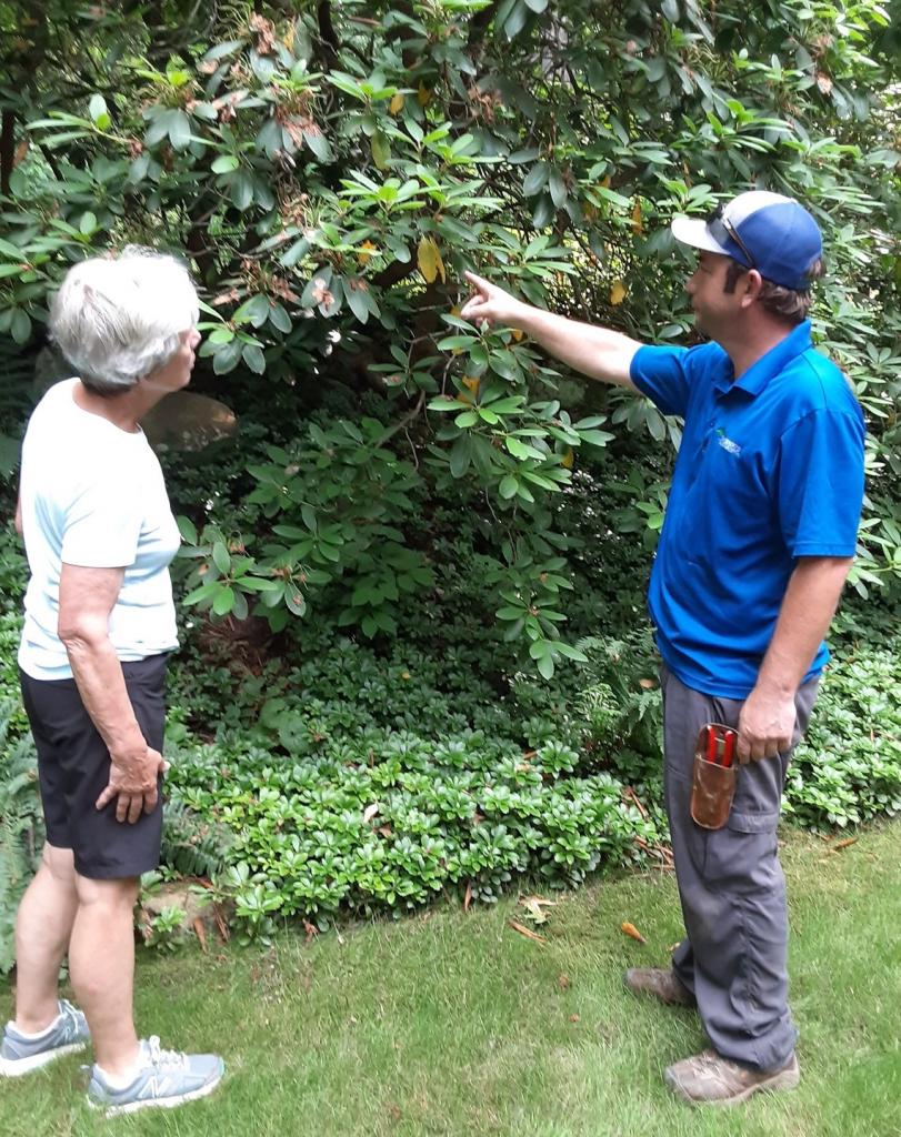 What is Plant Health Care and Do I Need It? Whitehouse Landscaping